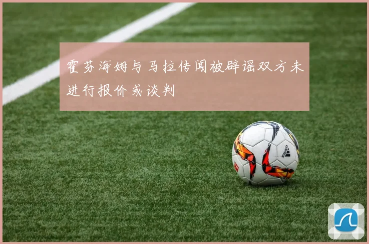 霍芬海姆与马拉传闻被辟谣双方未进行报价或谈判
