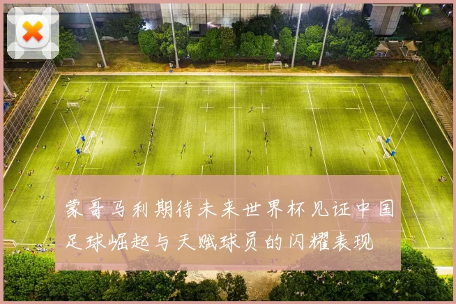 蒙哥马利期待未来世界杯见证中国足球崛起与天赋球员的闪耀表现