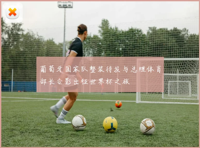 葡萄牙国家队整装待发与总理体育部长合影出征世界杯之旅